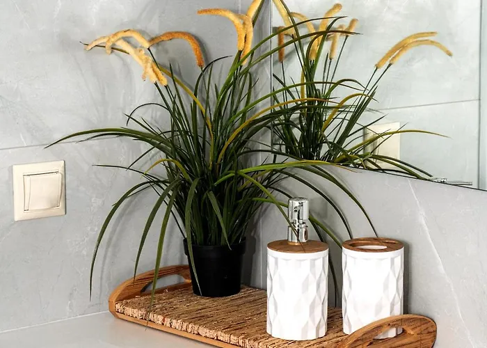 公寓 Aegean Majesty 阿佐里姆诺斯